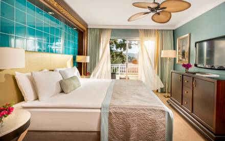 Deluxe Room, Accessible Room